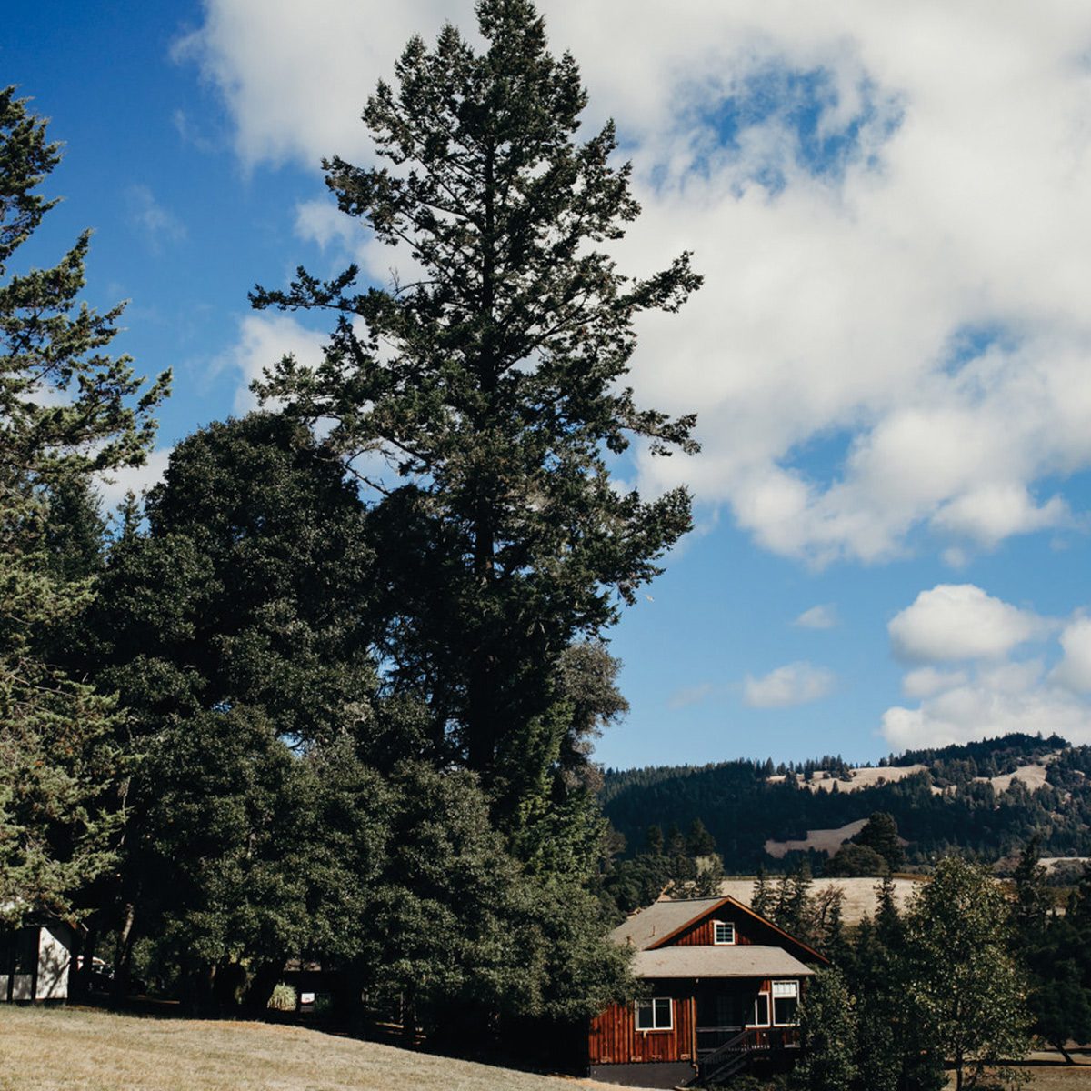The Land — photograph 6